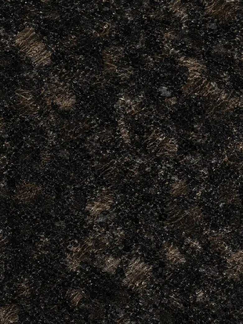 Dark granite surface with dense grey mineral fragments